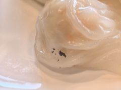 -天津君隆威斯汀酒店