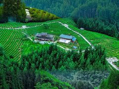 -瓦屋山景区