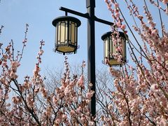 -苏州上方山国家森林公园