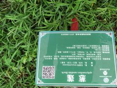 -广西壮族自治区药用植物园