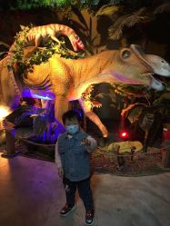 -恐龙探索乐园(磁器口店)