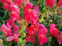 -文华公园(禅城区)