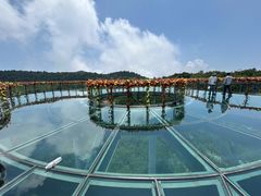 -王莽岭风景区