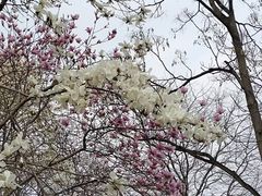-睦南公园