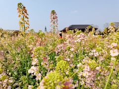 -中国天府农业博览园