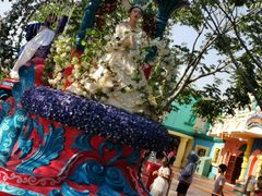 -郑州方特梦幻王国