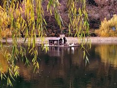-北岭山森林公园