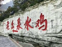 -老幺泉水鸡