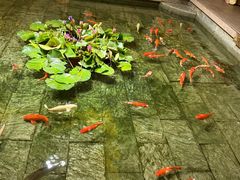 -惠食佳(滨江大公馆店)