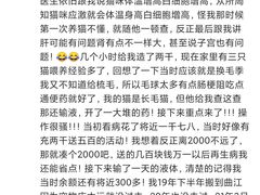 -佳怡动物医院·平价24小时·猫专科骨外科