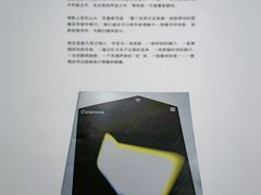-上海当代艺术博物馆