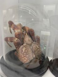 -酷嗒动物文化乐园(cutezoo西溪乐天城店)