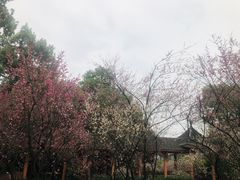 -南山植物园