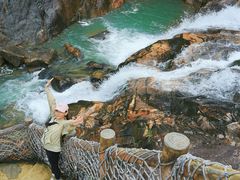 -广州白江湖森林公园