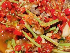 -蓉城小馆(科兴店)