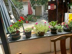 -双廊杨记石锅鱼石锅牛肉