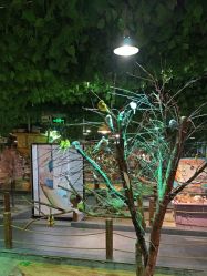 -酷嗒动物文化乐园(cutezoo西溪乐天城店)