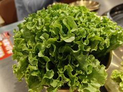 -炉队长·齐齐哈尔家庭烤肉(马家堡店)