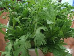 -岳合轩老北京涮肉