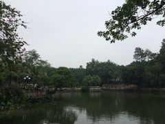 星海公园-星海公园(番禺区)