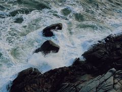 -广东惠东海龟国家级自然保护区
