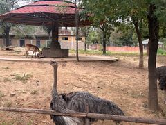 -石家庄市动物园