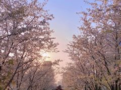 -新天地活力PARK