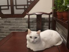 -一盃山水咖啡茶馆