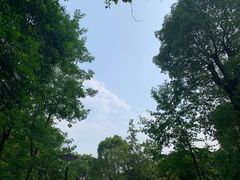 -重庆彩云湖湿地公园