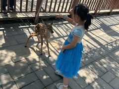 -北京鹿世界主题园
