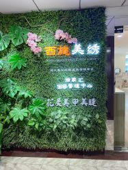 -西施无菌半永久纹绣眉眼影唇轻增发纹发际线