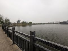 -上海长兴岛郊野公园