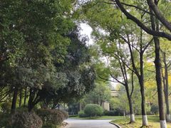 -成都南湖公园