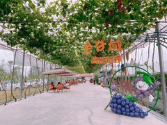 -金谷域澳洲庄园