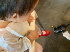 -燕青小馆(东园大厦店)