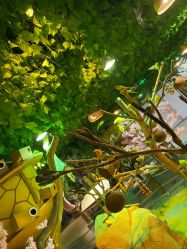 -酷嗒动物文化乐园(cutezoo西溪乐天城店)