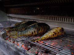 -杨合林啊兰烤鱼