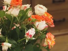 -FUNFUN有饭花园聚会餐厅