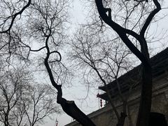 -西安城墙·碑林历史文化景区