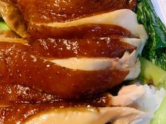 -九爺雞(文德路店)