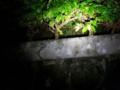 -火炉山森林公园