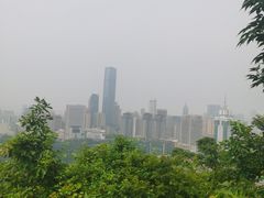 -富斯特索道