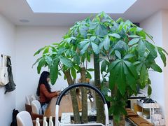 -Line 咖啡(石厦花园店)