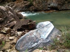 -九龙江国家森林公园