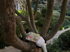 -江山万里