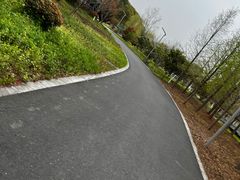 -昆山城市生态森林公园