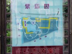 -嘉定紫藤园