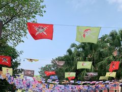 -重庆海昌加勒比海水世界