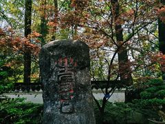 -南山植物园