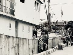 -吕四渔港码头海鲜餐厅